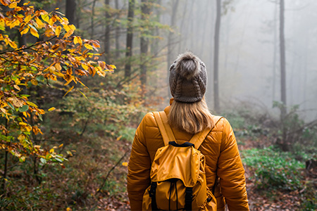 Hogia arbetstagare med rätt att koppla bort och koppla av