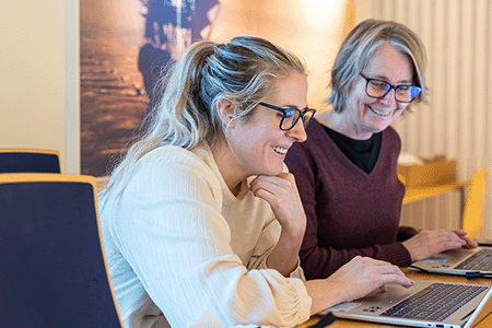 Hogia Skatt - fårmansföretag